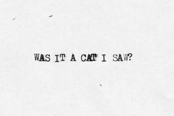 WAS IT A CAT I SAW? 