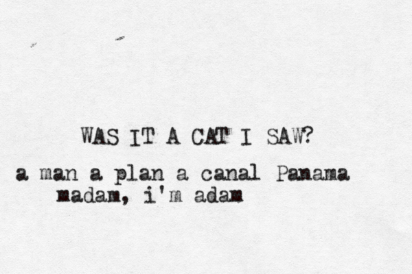 WAS IT A CAT I SAW? a man a plan a canal Panama madam, i'm adam 