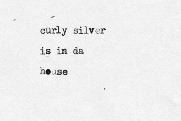 curly silver is in da house 
