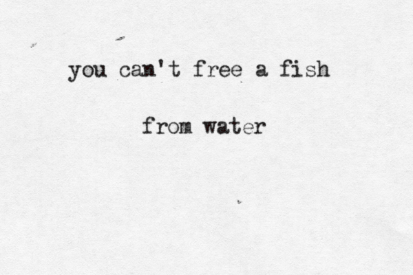 you can't free a fish from water