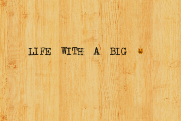 LIFE WITH A BIG |