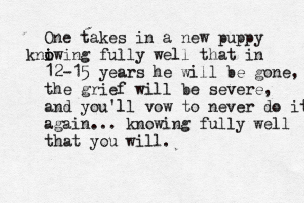 One takes in a new puppy kniw o i o ing fully well that in 12-15 years he will be gone, the grief will be severe, and you 'll vow to never do it again... knowing fully well that you will.