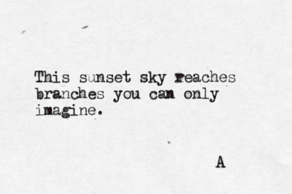 This sunset sky reaches branches you can only imagine. A