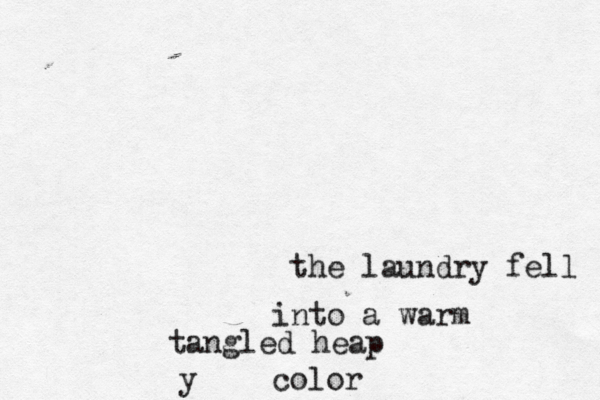 the laundry fell into a warm tangled heap color y