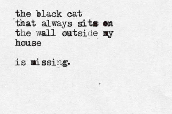the black cat that always sits on the wall outside my house is missing.