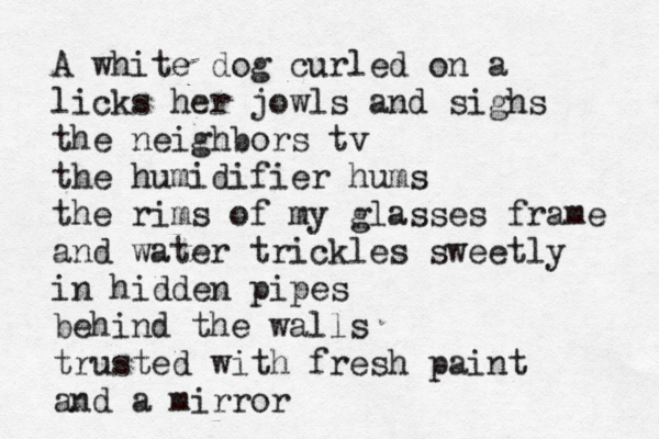 A white dog curled on a licks her jowls and sighs the neighbors tv the humidifier hums the rims of my glasses frame and water trickles sweetly in hidden pipes behind the walls trusted with fresh paint and a mirror 