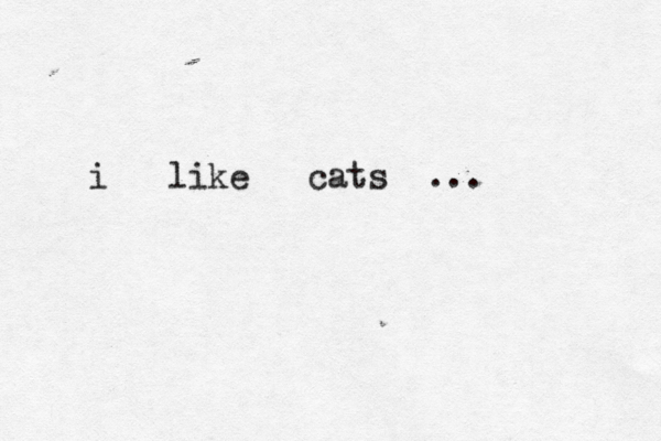 i like cats ...