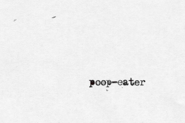 poop-eater
