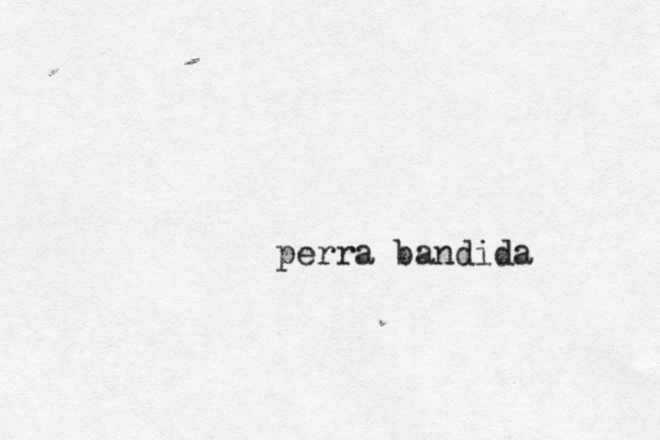 perra bandida