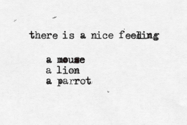 there is a nice feed ling a mouse a lion a parrot 