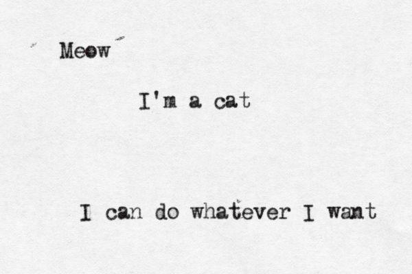 Meow I'm a cat I can do whatever I want 