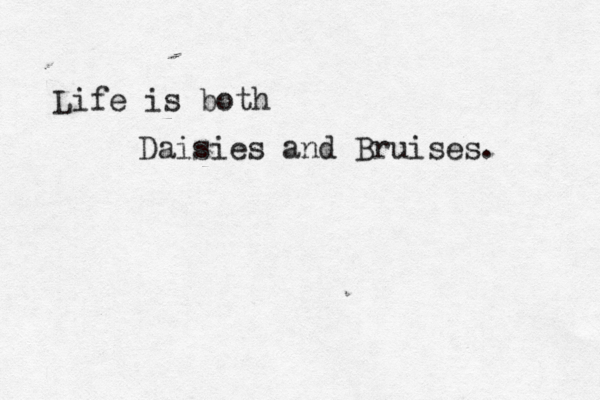 Life is both Daisies and Bruises . 
