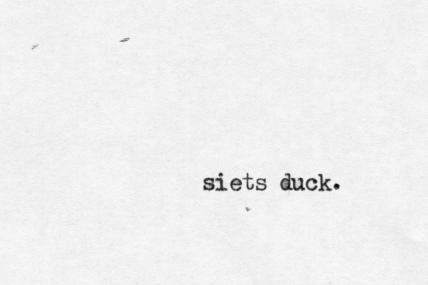 siets duck. 