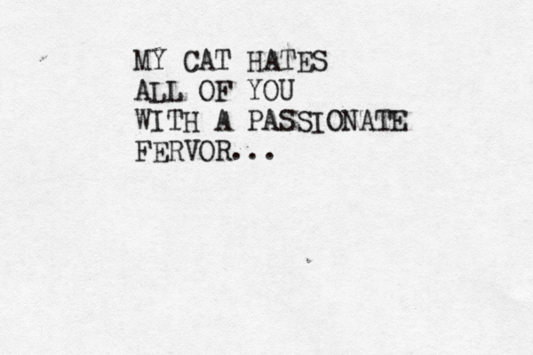MY CAT HATES ALL OF YOU WITH A PASSIONATE FERVOR ... 