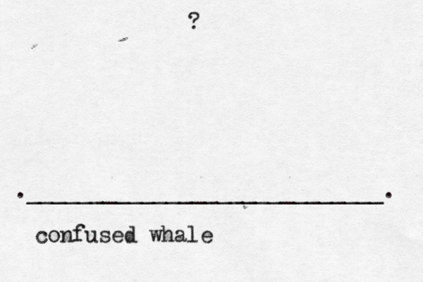 ? .____________________________. confused whale 