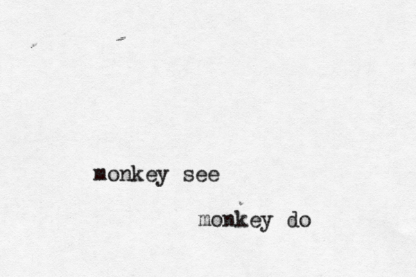 monkey see monkey do