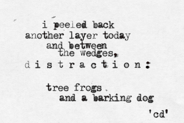 i peeled back another layer today and between the wedges, d i s t r a c t i o n . : tree frogs and a barking dog 'cd' 