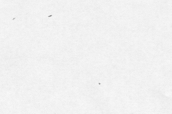 ................... .......................................,.,,,,,.................,,,,,,,,,,,,,,,,,,,,,,,,,,,,,,,,,,,,,,,,,.........,.,,,,,...... xxxxx..........................................,,,,,,,,,..............................,,,,,,,,,,,,,,,,,,,,,,,,, xxxx.....................................................,..................,,,,,,,,,,,,,,,,,,,,.,,,,,,,,,,,j. blue bird in my heatth r r ------ ------ ------- hearth that wants to get out but i"m too tough for him i say, stay in there i'm not going to let anybody see you therr ------ bukowskyt - x x xxxxxxxxxxxxxxxxxxxxxxxxx xxxxxxxxxxxxccccccccc xxxxxxxccccccccccccccccccc xxxxxxx xxxxxxxxxxxxxx xxxxxxxxxxxxxxxxx xxxxxxxxcxxx xxxxxxxxxxx xxxxxxxxxx xxxxxxxxxxxxx ###<# %%%%%% %%%%%% %%%%%%% %%%%%%%% %%% %%%%%%%%% %%%%%%%%> %%>>>>>>> %%>>>%%% %%%% %%%%%%%%%%%%%%% % %%%%%%%% %%% %%%%%%%%%%%%%%%%^^^^ %^^^ %%%% %%%%%%%%%^^^^^%%% %%%%%%%>%%%%% %%%%%% %%%%%%%%%%%%%^% %% % %%% %%% %%%%%%%%%%%%^^ %%%%% % %%%%%%%%%%^^^^^^%%%^ %%%%%%% %%%%%%%%%%%%%%%%^% %%%%%%%%%%^