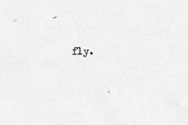 fly. 