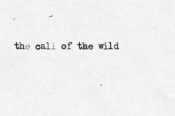 the call of the wild 