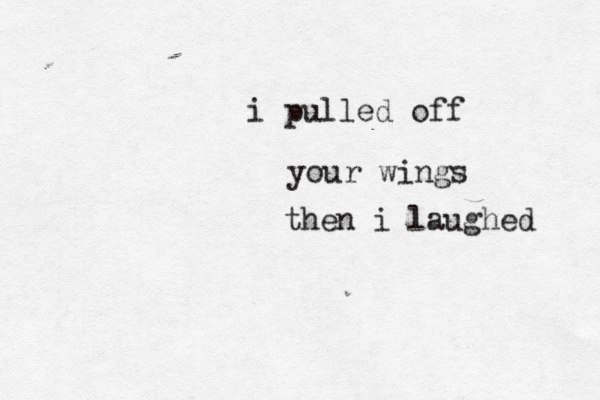 i pulled off your wings then i laughed 