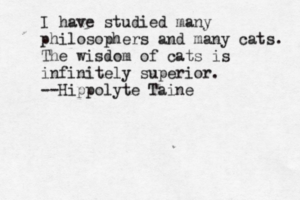 I have studied many philosophers and many cats. The wisdom of cats is infinitely superior. --Hippolyte Taine 