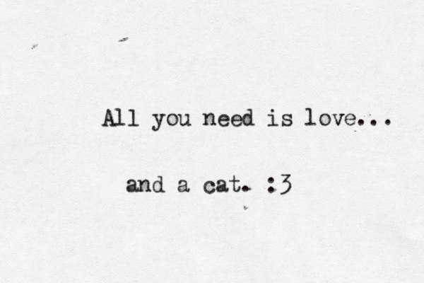 All you need is love v ... and a cat. :3