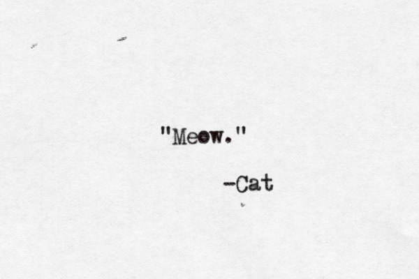 "Meow." -Cat
