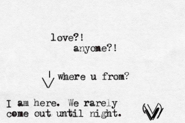 love?! anyone?! I am here. We rarely come out until night. (\/) ~ \ \ // / \ \// / / / / \ | where u from?