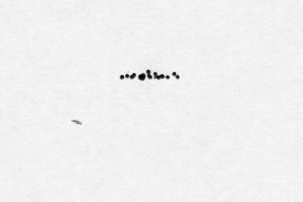 •• >^....... . . , , , . . . 