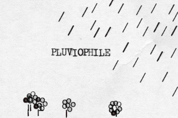 PLUVIOPHILE / / / / / / / / / / / / / / / / / / / / / / / / / / / / | o o o o o o | o i o o o o o o | | | I o O o o o o Oo o o o o o o o |