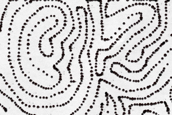 ................................................................................................................................................................................................................................................................................................................................................................................................................................................................................................................................................. ..................................................................................................................................................................................................................................................... ..................