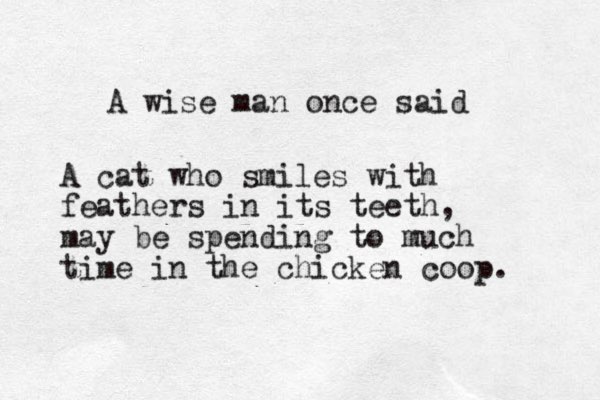 A wise man once said A cat who smiles with feathers in its teeth, may be spending to much time in the chicken coop. 