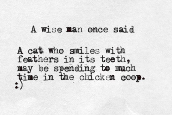 A wise man once said A cat who smiles with feathers in its teeth, may be spending to much time in the chicken coop. :)