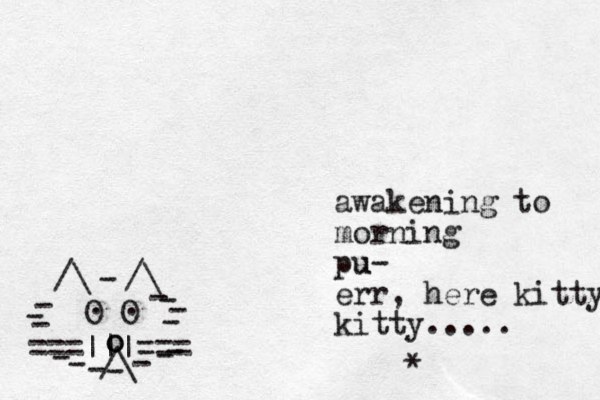 ===|||=== /\ O O . . /\ /\ - - - - - - - - - - - - - - - o o awakening to morning pu u- err, here kitty kitty..... * 