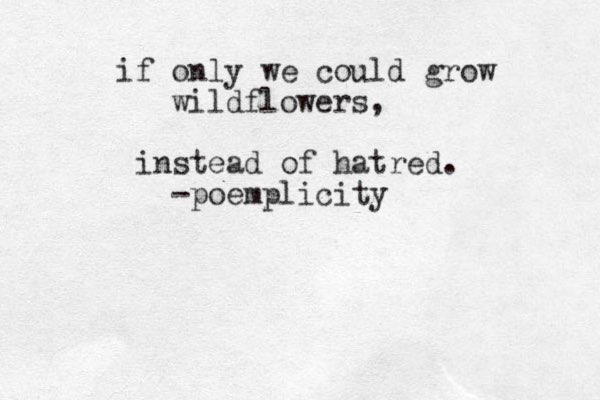 if only we could grow wildflowers, instead of hatred. -poemplicity 