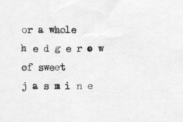 or a whole h e d g e r o w of sweet j a s m i n e
