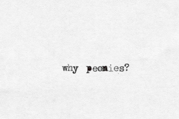 peonies? why 
