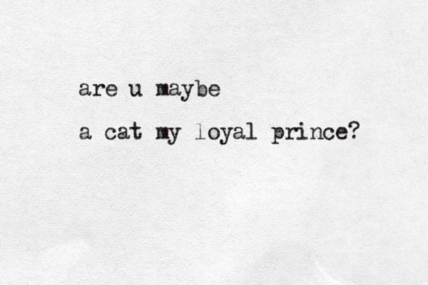 are u maybe a cat my loyal prince?