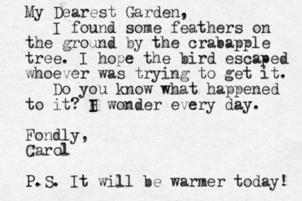 My Dearest Garden, I found some feathers on the ground by the crabapple tree. I hope the bird escaped whoever was trying to get it. Do you know what happened to it? H I I wonder every day. Fondly, Carol P.S. It will be warmer today! 