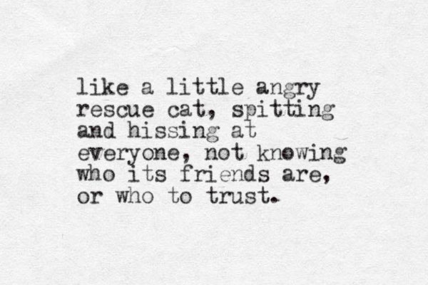 like a little angry rescue cat, spitting and hissing at everyone, not knowing who its friends are, or who to trust.