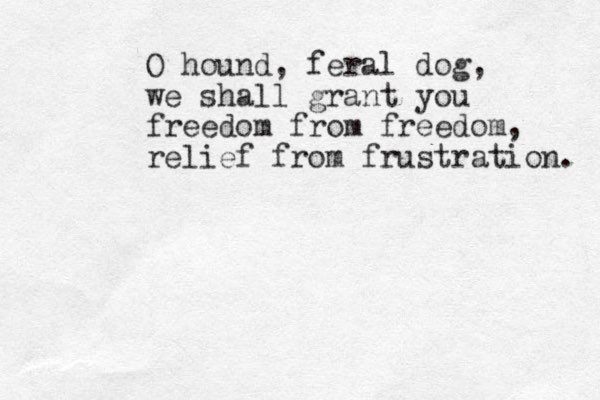 O hound, feral dog, we shall grant you freedom from freedom, relief from frustration. 