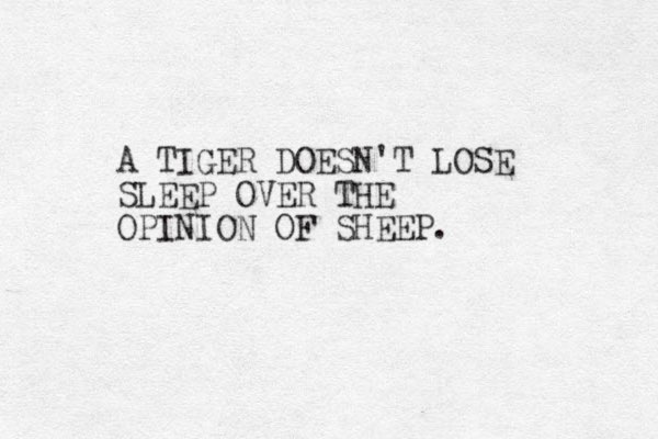 A TIGER DOESN'T LOSE SLEEP OVER THE OPINION OF SHEEP. 