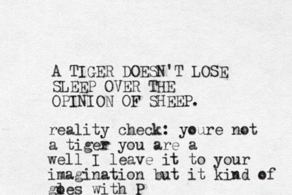 A TIGER DOESN'T LOSE SLEEP OVER THE OPINION OF SHEEP. reality check: youre not a tiger you are a well I leave it to your imagination but it kind of gl oes with P
