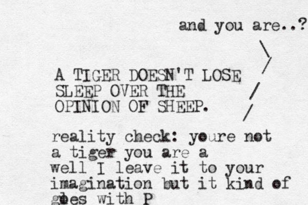 A TIGER DOESN'T LOSE SLEEP OVER THE OPINION OF SHEEP. reality check: youre not a tiger you are a well I leave it to your imagination but it kind of gl oes with P / / / \ and you are..? 