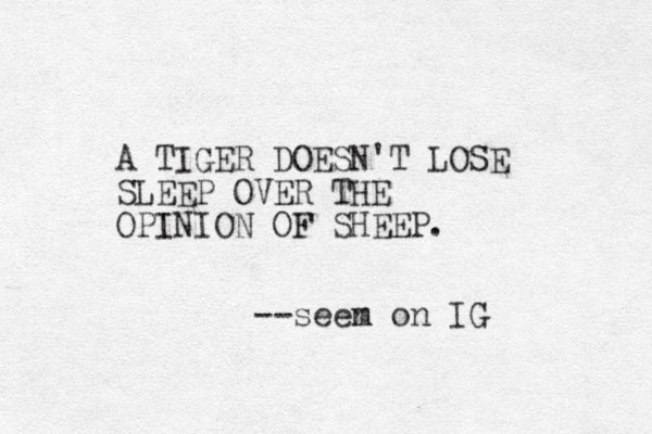 A TIGER DOESN'T LOSE SLEEP OVER THE OPINION OF SHEEP. --seem n on IG 