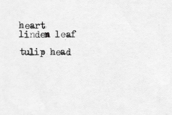 heart linden leaf tulip head