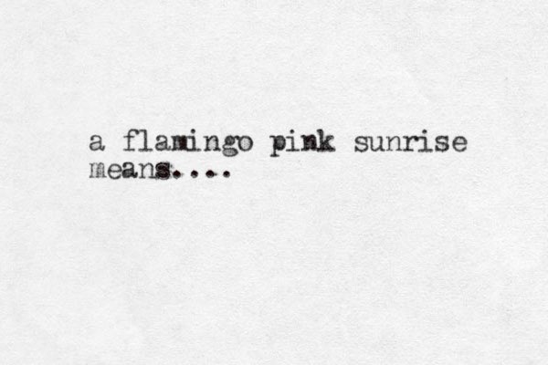 a flamingo pink sunrise means....