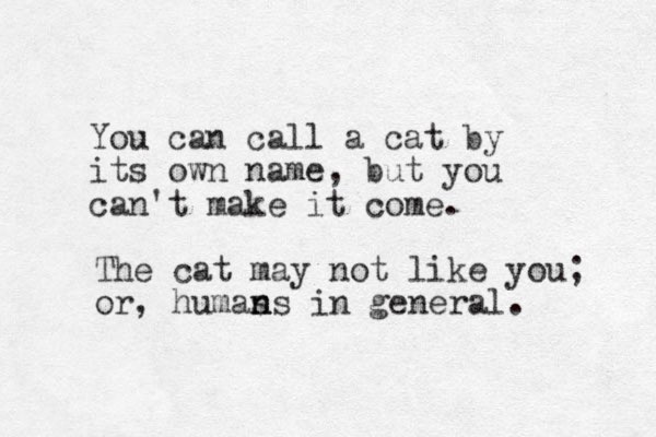 You can call a cat by its own name, but you can't make it come. The cat may not like you; or, humas n ns in general.