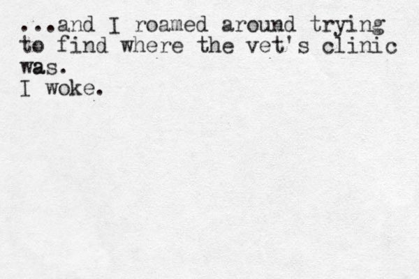 ...and I roamed around trying to find where the vet's clinic wa as. I woke.